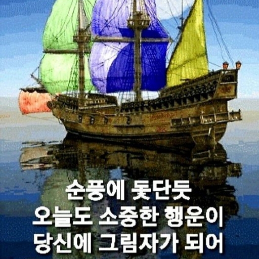 피드 이미지