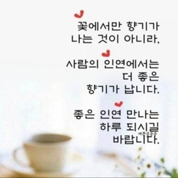 피드에 업로드 된 이미지