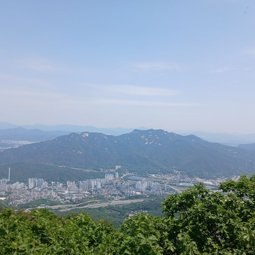 피드 이미지