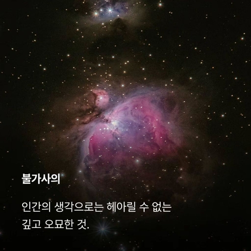 피드 이미지