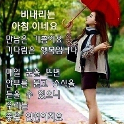 피드에 업로드 된 이미지