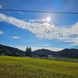 피드에 업로드 된 이미지