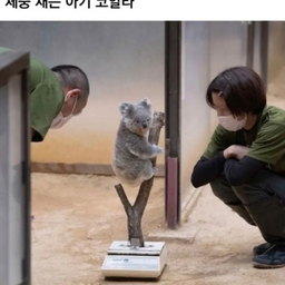 피드에 업로드 된 이미지