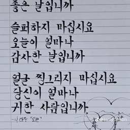 피드에 업로드 된 이미지