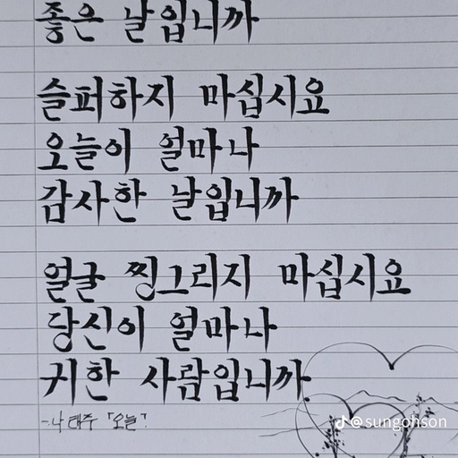 피드 이미지
