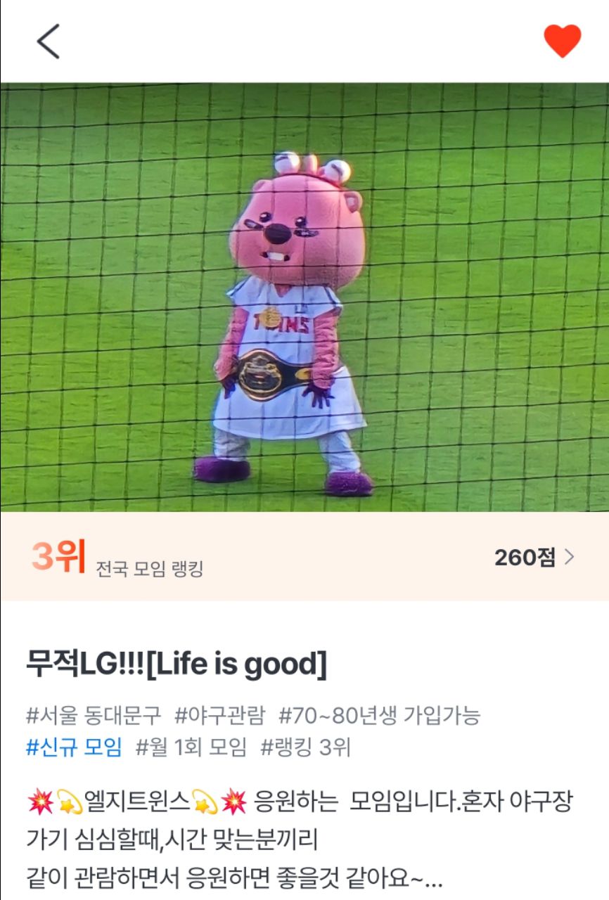 피드 이미지