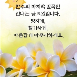 피드에 업로드 된 이미지