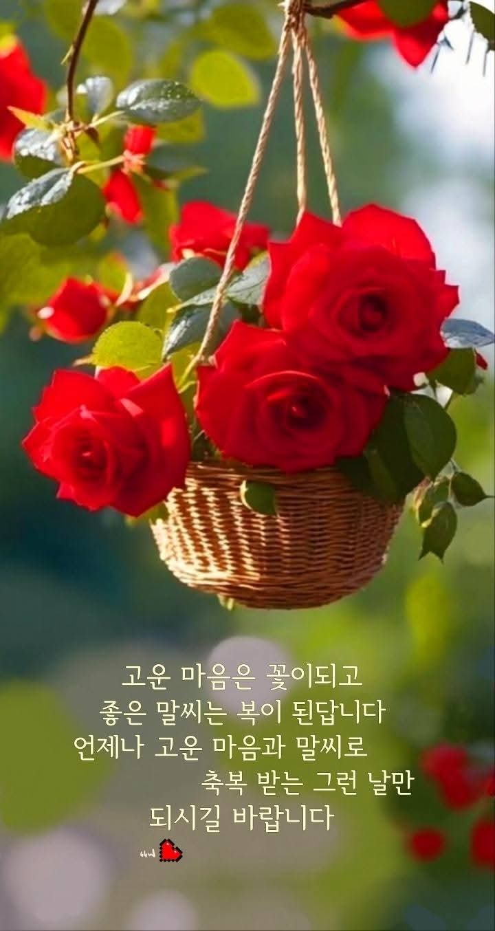 피드 이미지