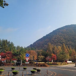 피드에 업로드 된 이미지