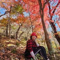 피드에 업로드 된 이미지