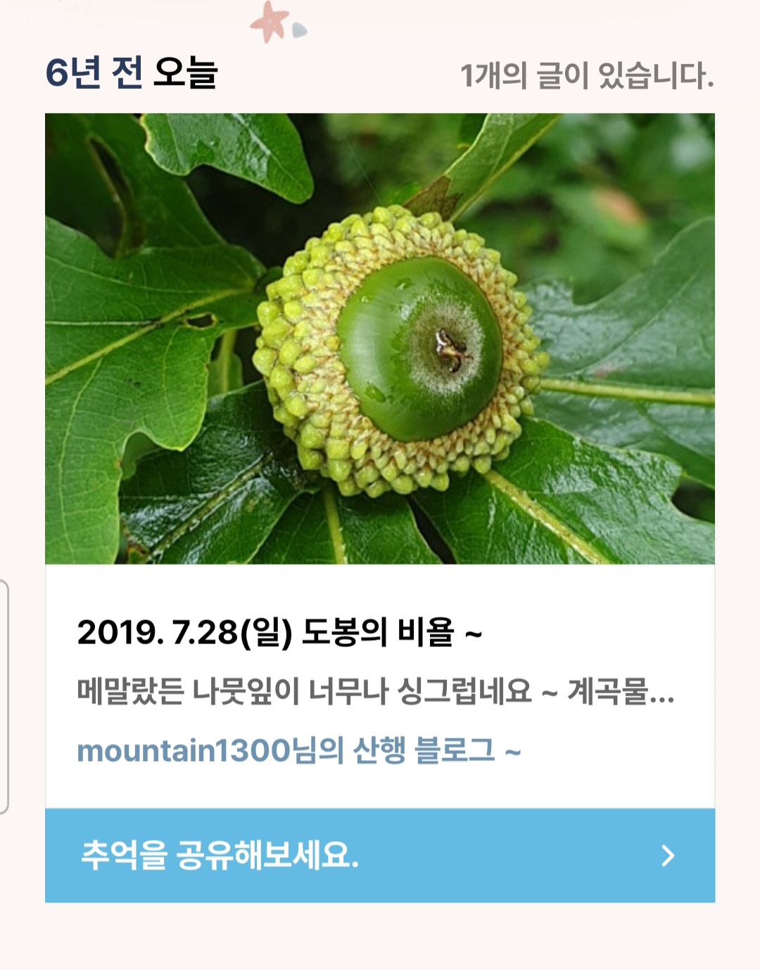 피드 이미지