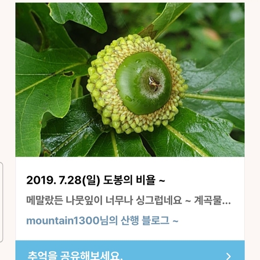 피드 이미지