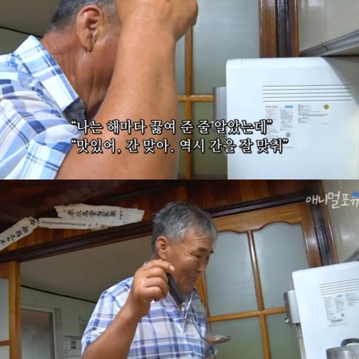 피드 이미지