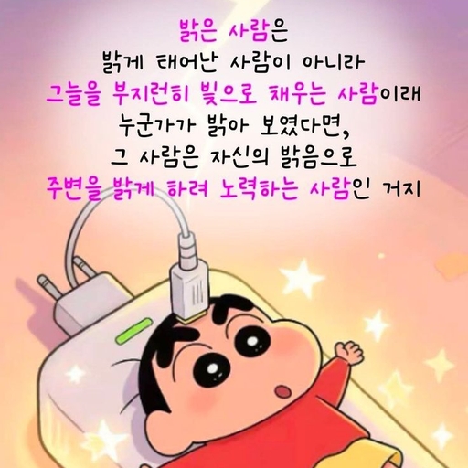 피드 이미지