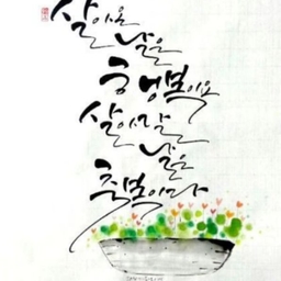 피드에 업로드 된 이미지