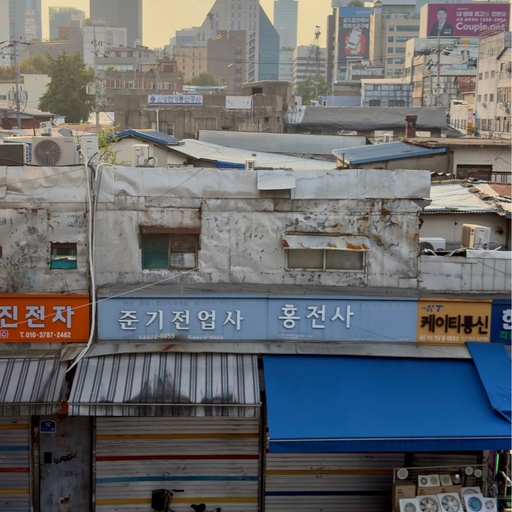 피드 이미지