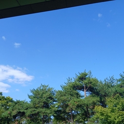 피드에 업로드 된 이미지