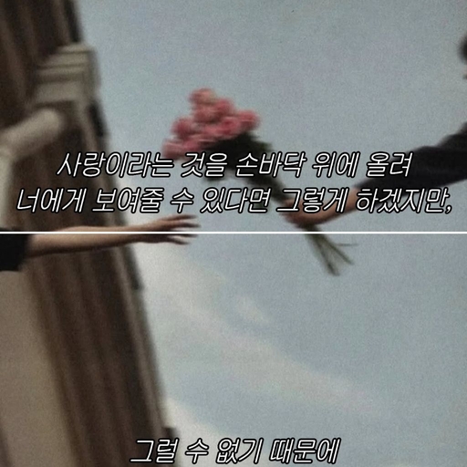 피드 이미지