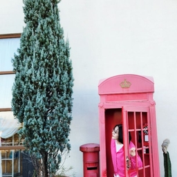 피드에 업로드 된 이미지