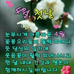 피드에 업로드 된 이미지