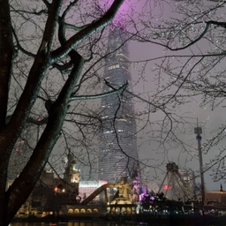 피드에 업로드 된 이미지