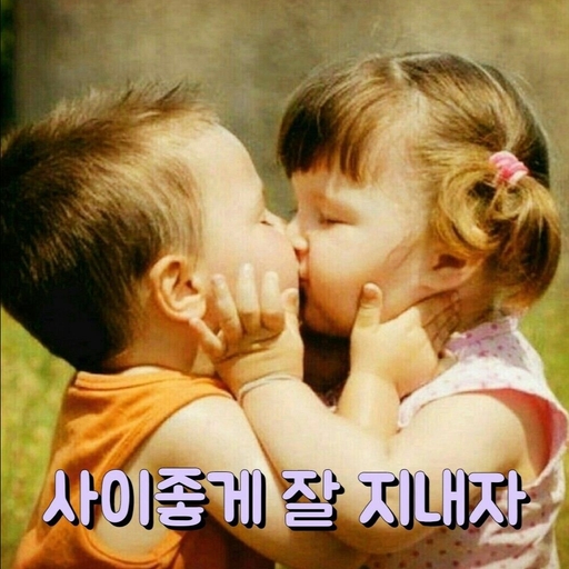 피드 이미지