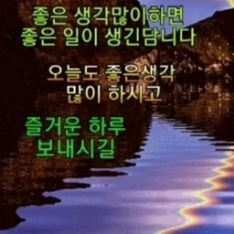 피드에 업로드 된 이미지