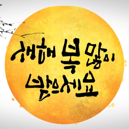 피드 이미지