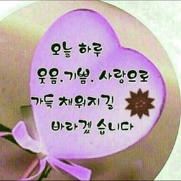 피드에 업로드 된 이미지