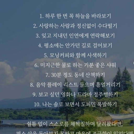 피드 이미지