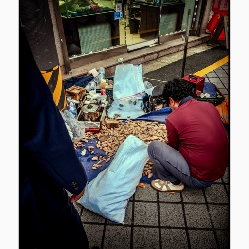 피드 이미지
