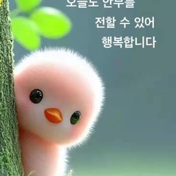 피드에 업로드 된 이미지
