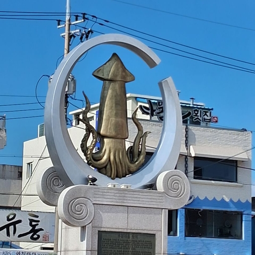 피드 이미지