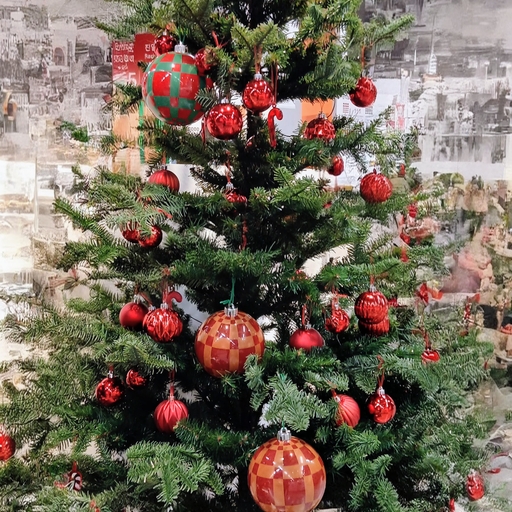 모임 대표 이미지