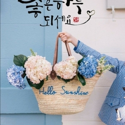 피드에 업로드 된 이미지