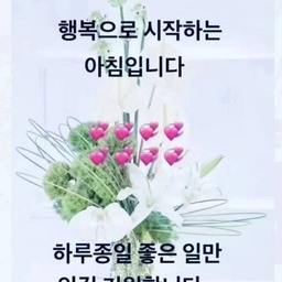 피드에 업로드 된 이미지
