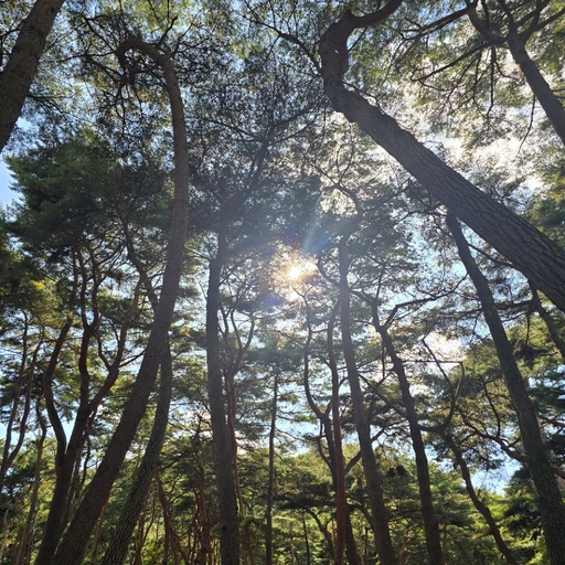 피드 이미지