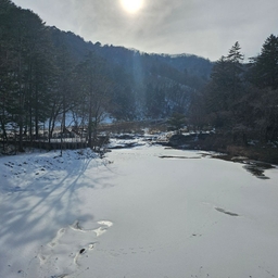 피드에 업로드 된 이미지