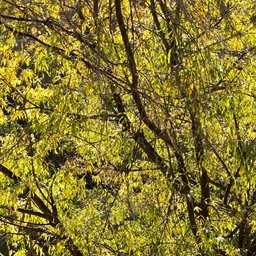 피드에 업로드 된 이미지