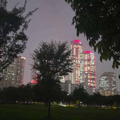 피드 이미지