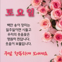 피드에 업로드 된 이미지