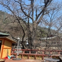 멤버 프로필