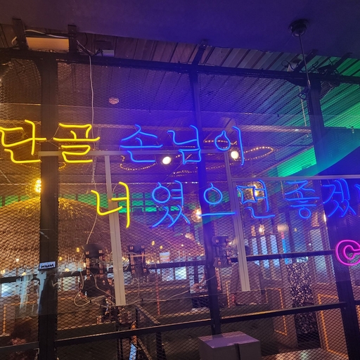 피드 이미지