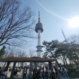 피드에 업로드 된 이미지