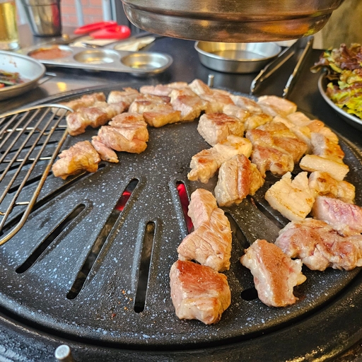 피드 이미지