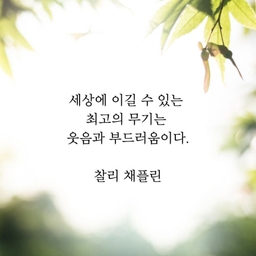 피드에 업로드 된 이미지