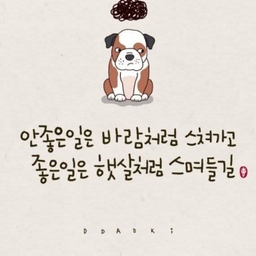 피드에 업로드 된 이미지