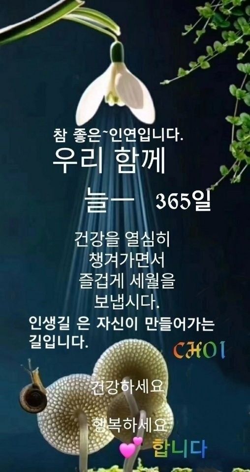 피드에 업로드 된 이미지