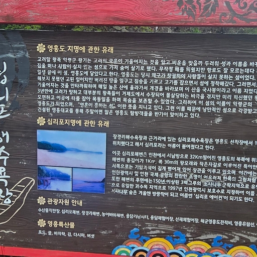 피드 이미지