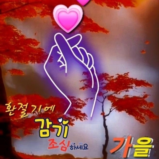 피드 이미지